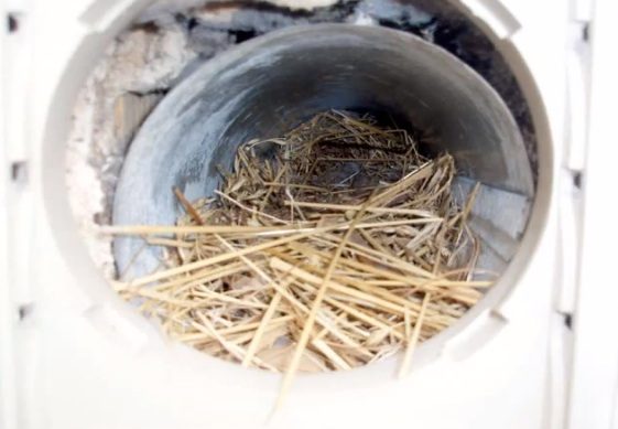 Dryer Vent Cleaning