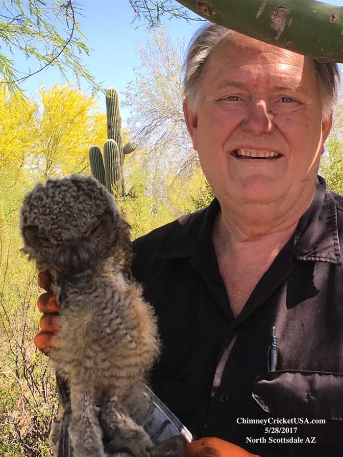 Chimney Cricket Las Vegas Chimney Sweep Las Vegas, NV